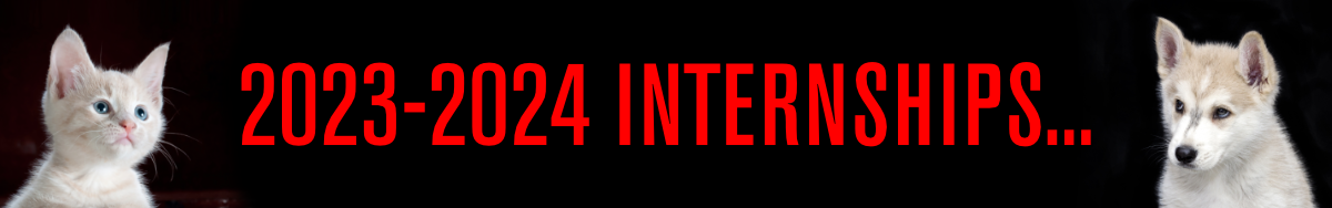 Intern banner